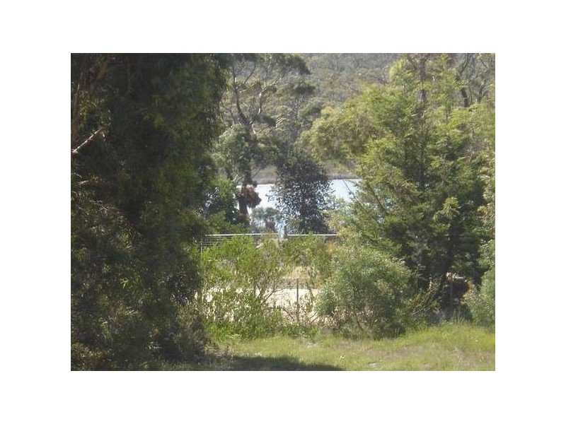 171 Main Road, Binalong Bay TAS 7216