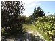 171 Main Road, Binalong Bay TAS 7216