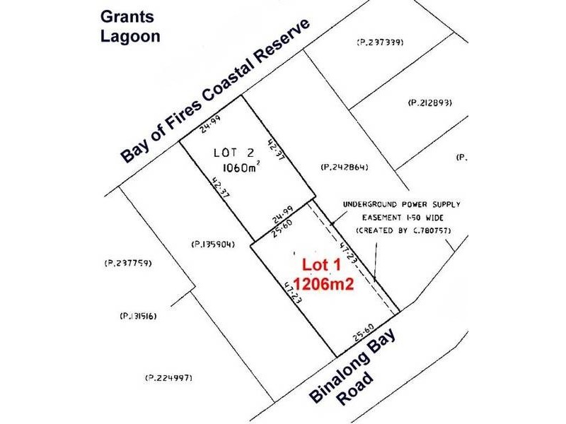 171 Main Road, Binalong Bay TAS 7216
