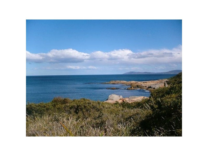 2 Forster Street, Seymour TAS 7215