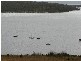 Lease 27 Moulting Bay, St Helens TAS 7216