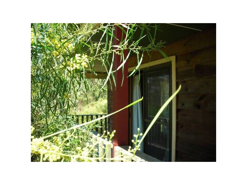 66 Treloggen Drive, Binalong Bay TAS 7216