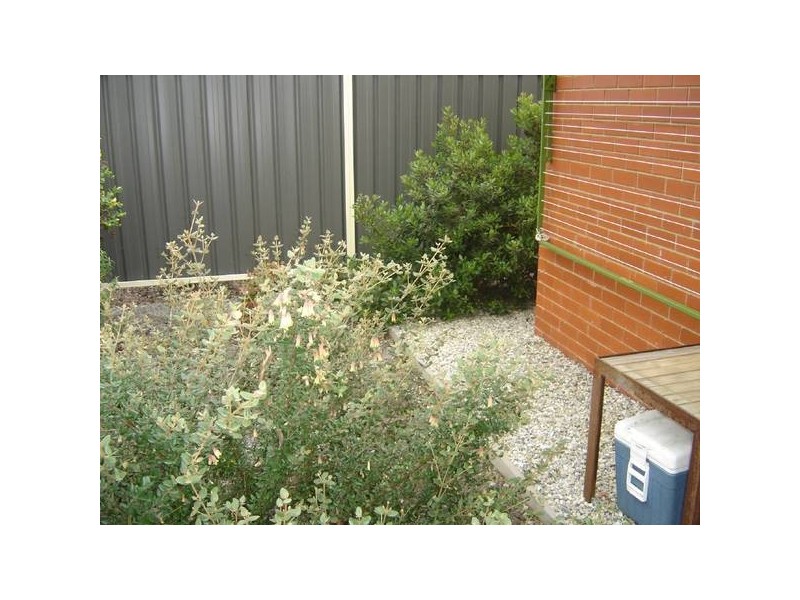 5/14 Doepel Place, St Helens TAS 7216