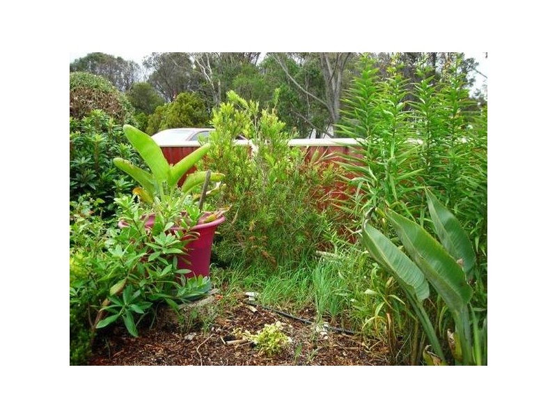 176 St Helens Point Road, St Helens TAS 7216