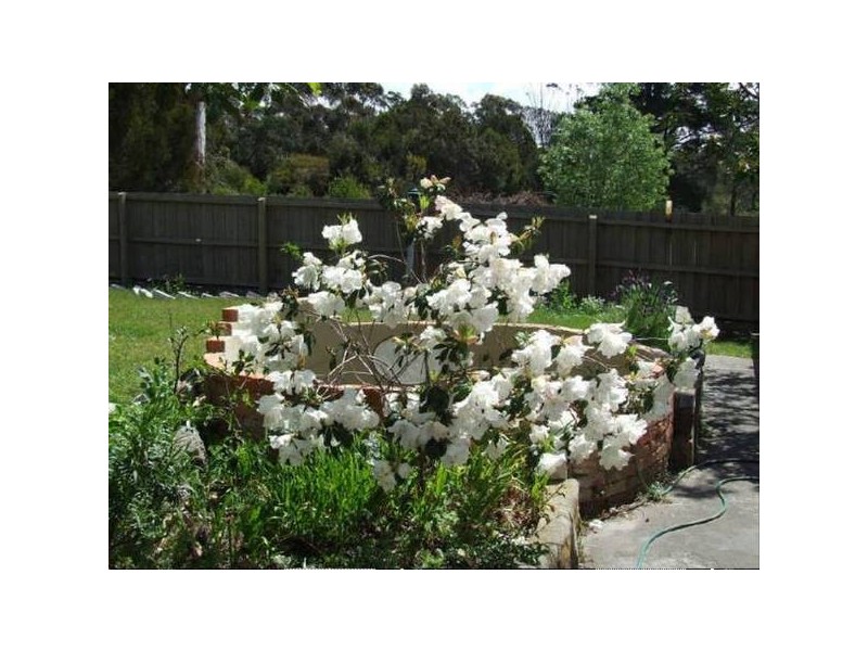 29-31 Bayvista Rise, St Helens TAS 7216