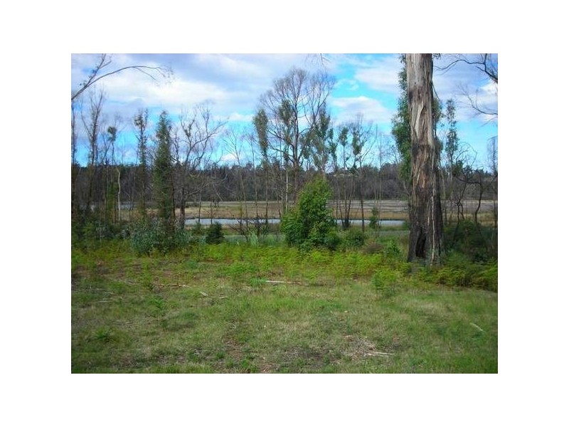 155 Upper Scamander Road, Scamander TAS 7215