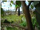 155 Upper Scamander Road, Scamander TAS 7215