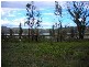 155 Upper Scamander Road, Scamander TAS 7215