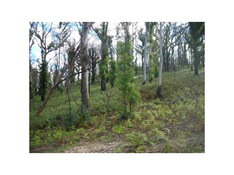 155 Upper Scamander Road, Scamander TAS 7215