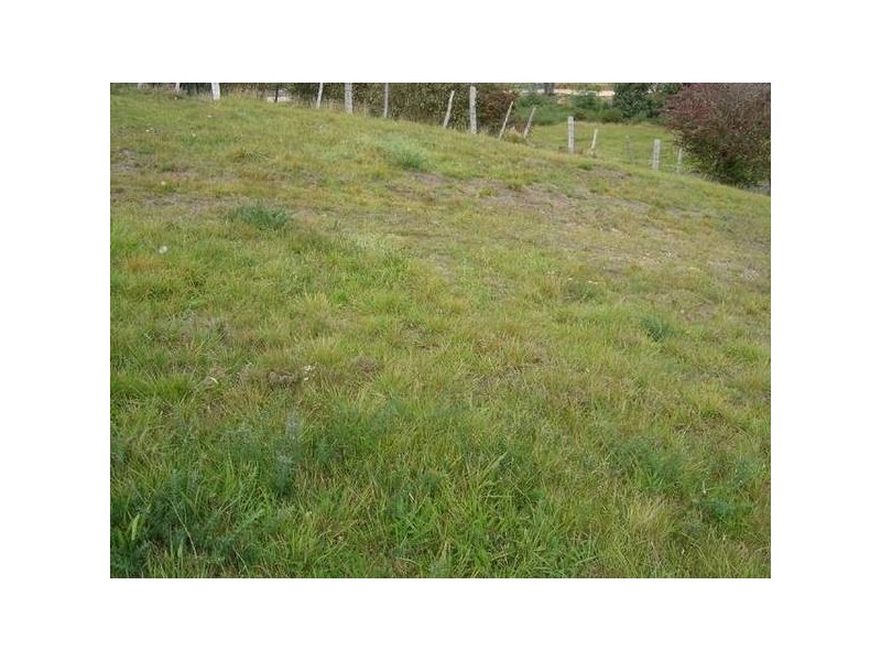 PID 2633135 The Flat, St Marys TAS 7215