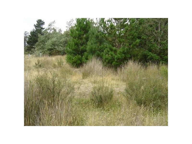 PID 2207574 High Street, Mathinna TAS 7214