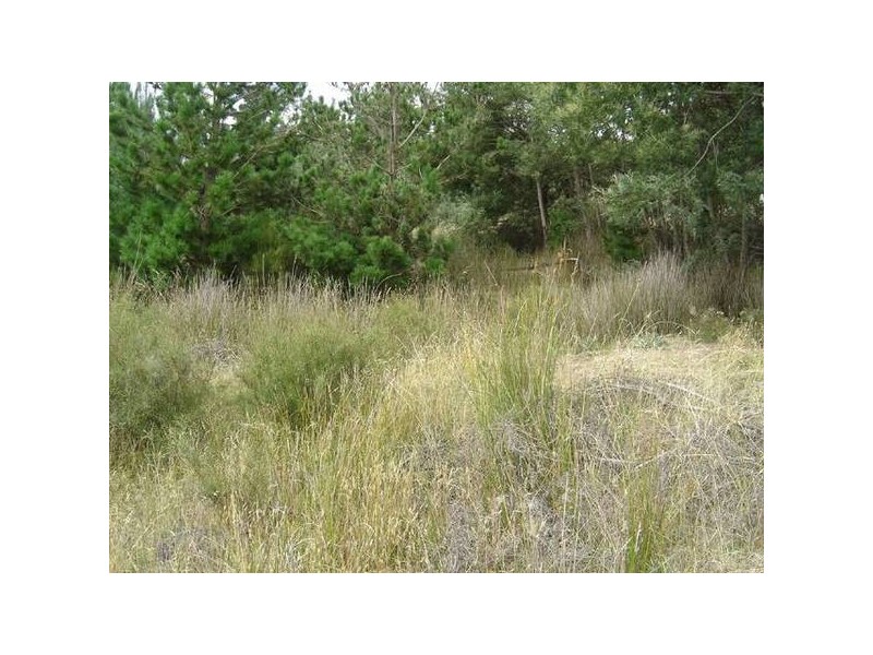 PID 2207574 High Street, Mathinna TAS 7214