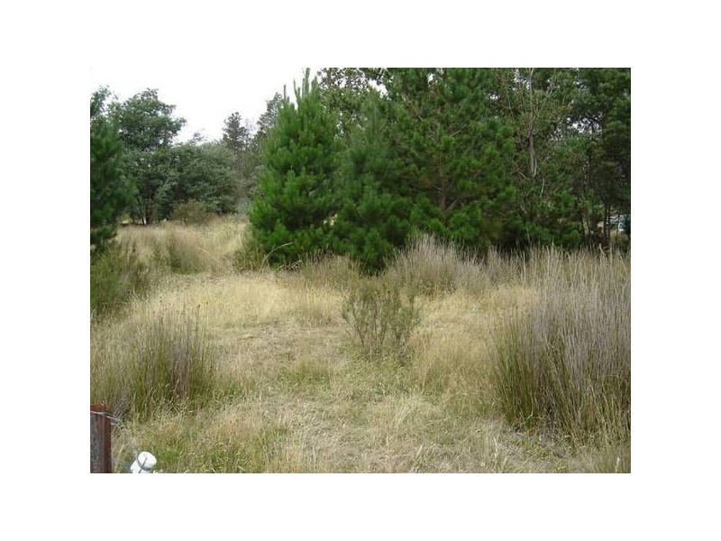 PID 2207574 High Street, Mathinna TAS 7214