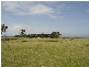 PID 6408883 Tasman Highway, Seymour TAS 7215