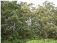PID 2632810 Lottah Road, Lottah TAS 7216