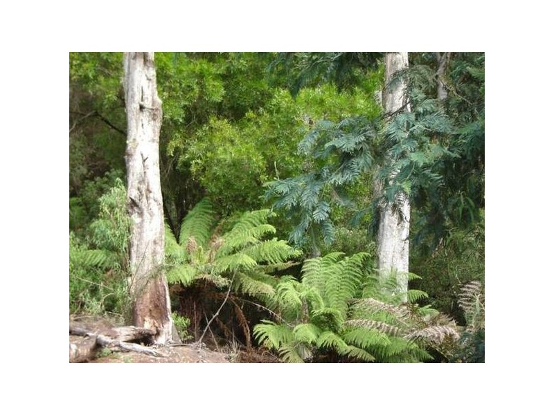 PID 6798789 Lottah Road, Lottah TAS 7216