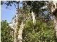 PID 6798789 Lottah Road, Lottah TAS 7216