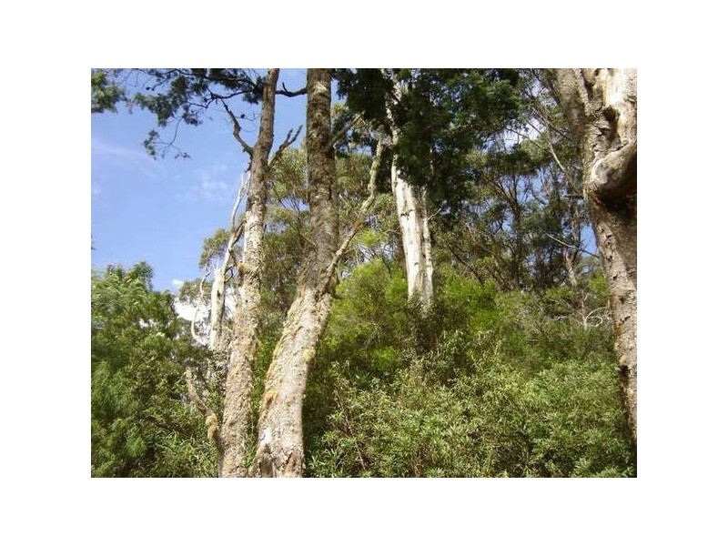 PID 6798789 Lottah Road, Lottah TAS 7216
