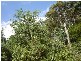 PID 6798789 Lottah Road, Lottah TAS 7216