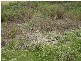PID 2633004 Lottah Road, Lottah TAS 7216
