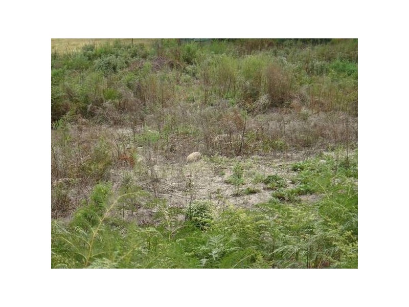 PID 2633004 Lottah Road, Lottah TAS 7216