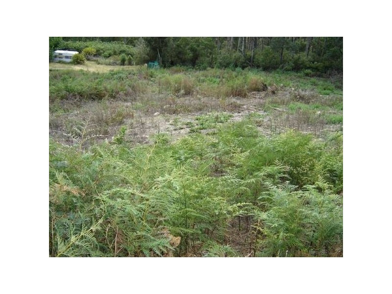 PID 2633004 Lottah Road, Lottah TAS 7216