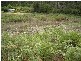 PID 2633004 Lottah Road, Lottah TAS 7216