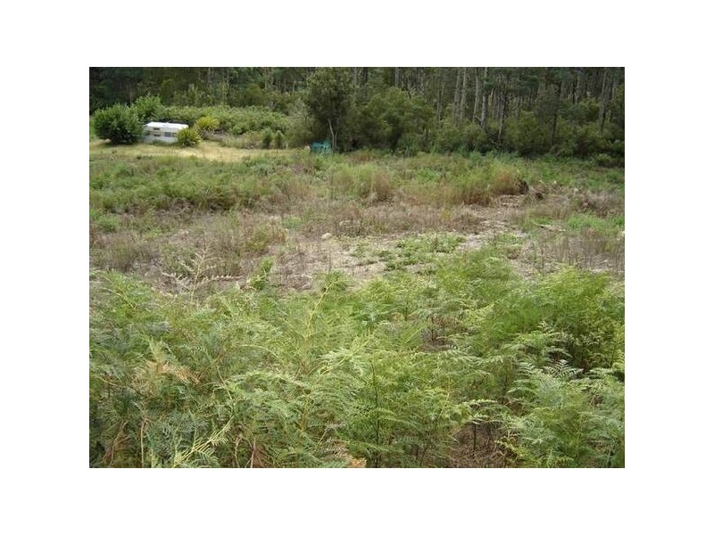 PID 2633004 Lottah Road, Lottah TAS 7216