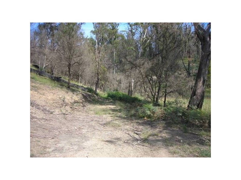 1 Upper Scamander Road, Scamander TAS 7215