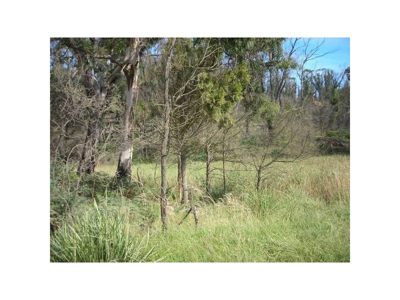 1 Upper Scamander Road, Scamander TAS 7215