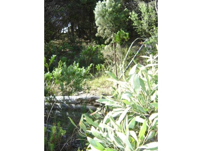 37 St Helens Point Road, Stieglitz TAS 7216