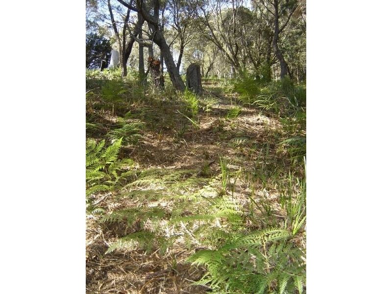 37 St Helens Point Road, Stieglitz TAS 7216