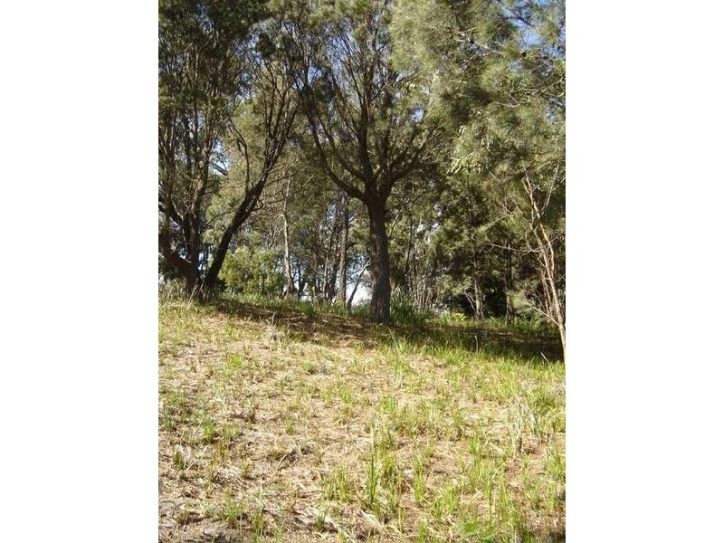 37 St Helens Point Road, Stieglitz TAS 7216