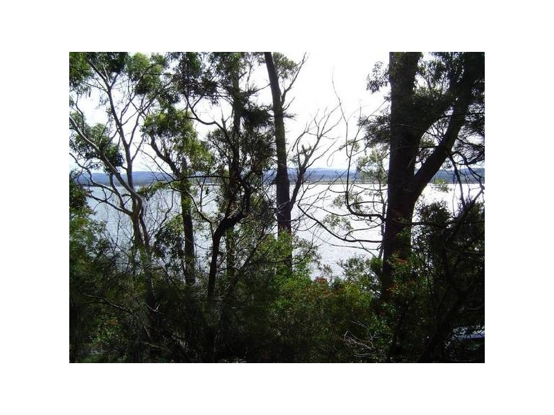 37 St Helens Point Road, Stieglitz TAS 7216