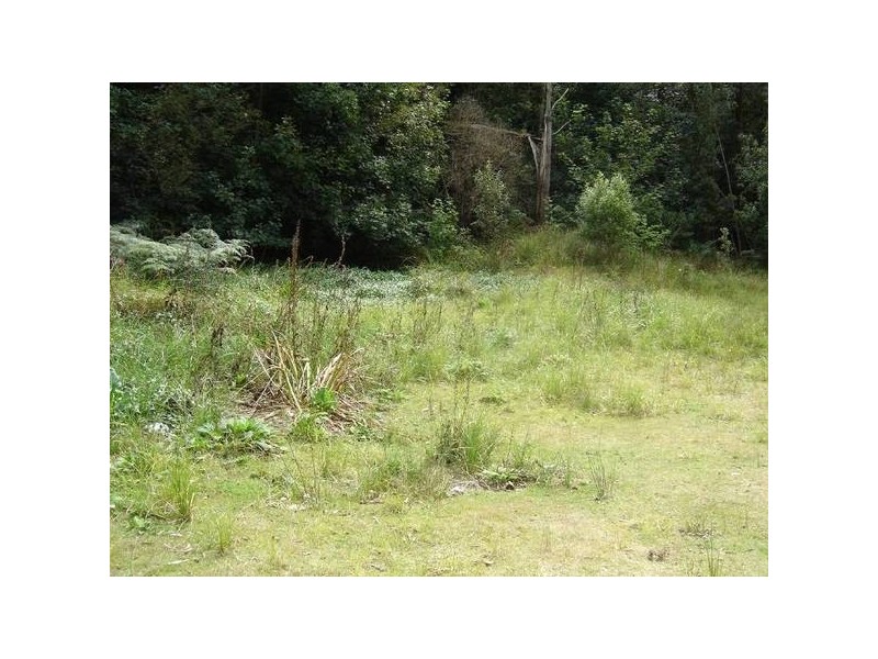 430 Davis Gully Road, Four Mile Creek TAS 7215