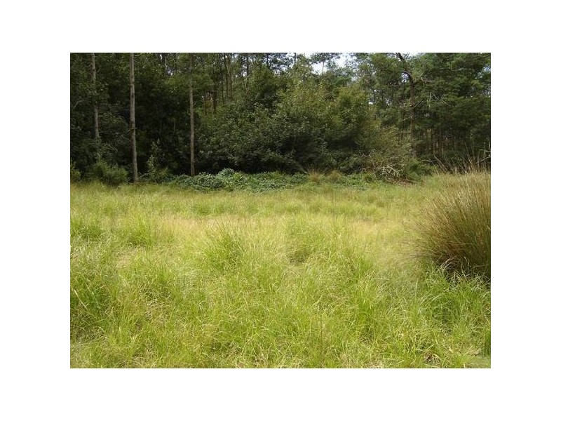 430 Davis Gully Road, Four Mile Creek TAS 7215