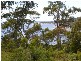 54 Treloggen Drive, Binalong Bay TAS 7216