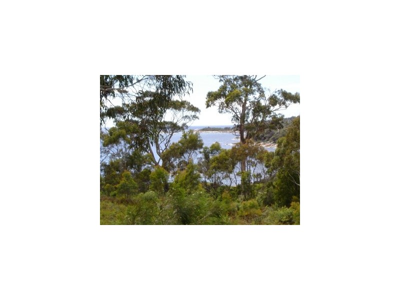 54 Treloggen Drive, Binalong Bay TAS 7216