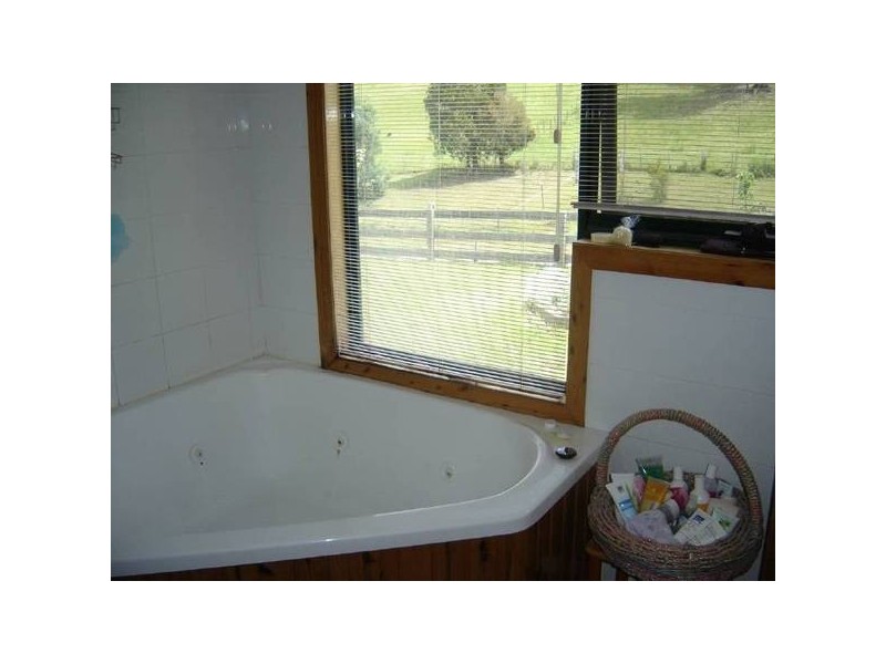 25568 Tasman Highway, St Helens TAS 7216