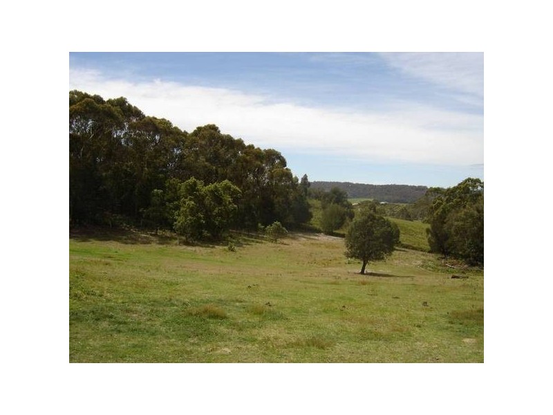 25568 Tasman Highway, St Helens TAS 7216