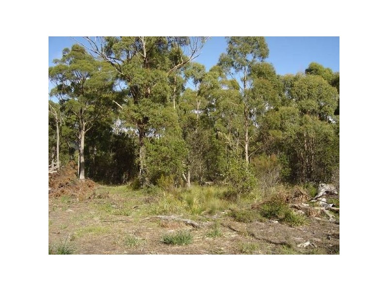 1 Gray Road, St Marys TAS 7215