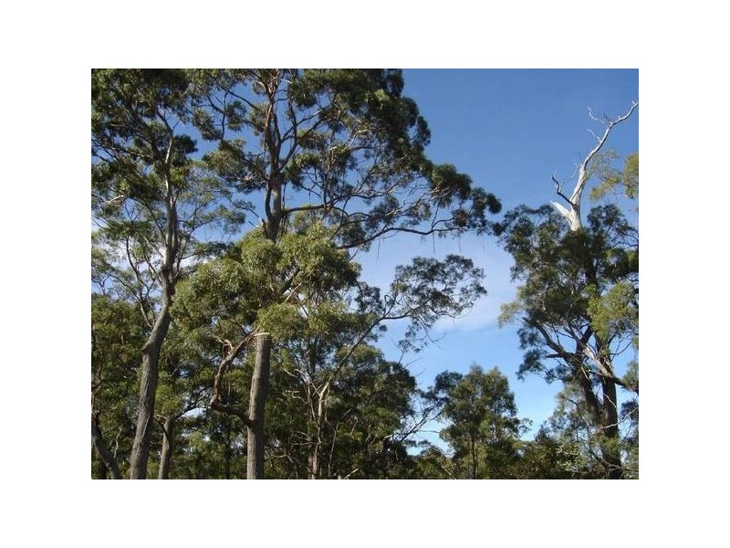 1 Gray Road, St Marys TAS 7215