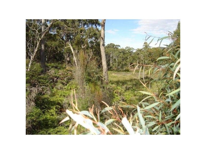 1 Gray Road, St Marys TAS 7215