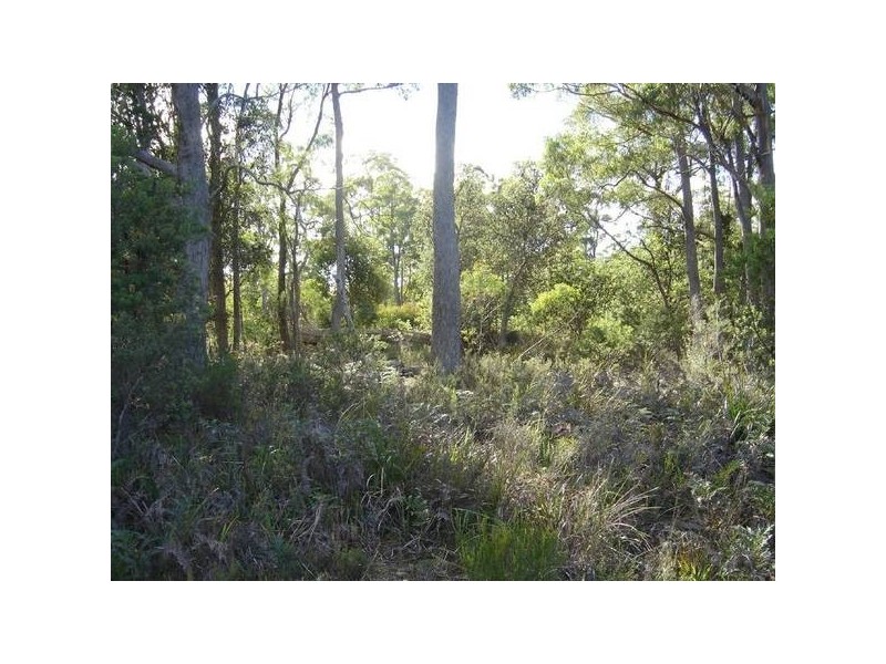 1 Gray Road, St Marys TAS 7215