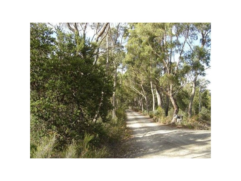 1 Gray Road, St Marys TAS 7215