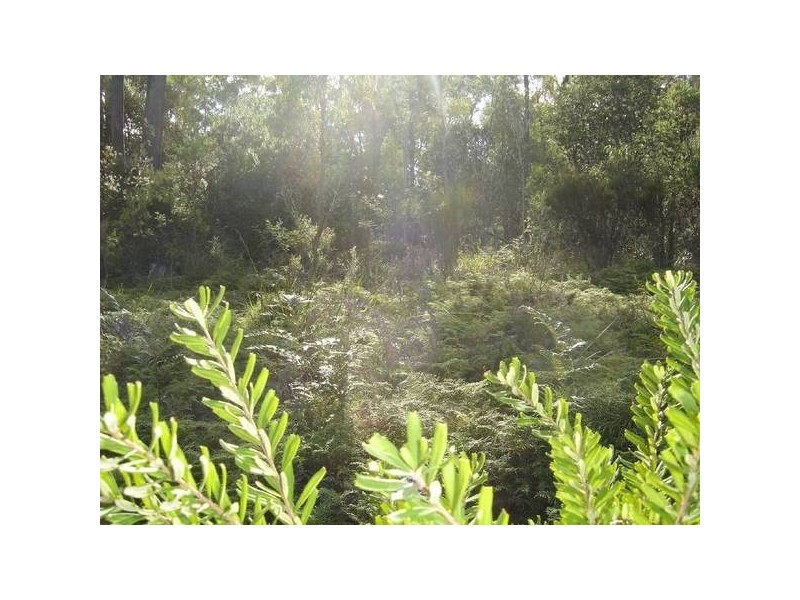 1 Gray Road, St Marys TAS 7215