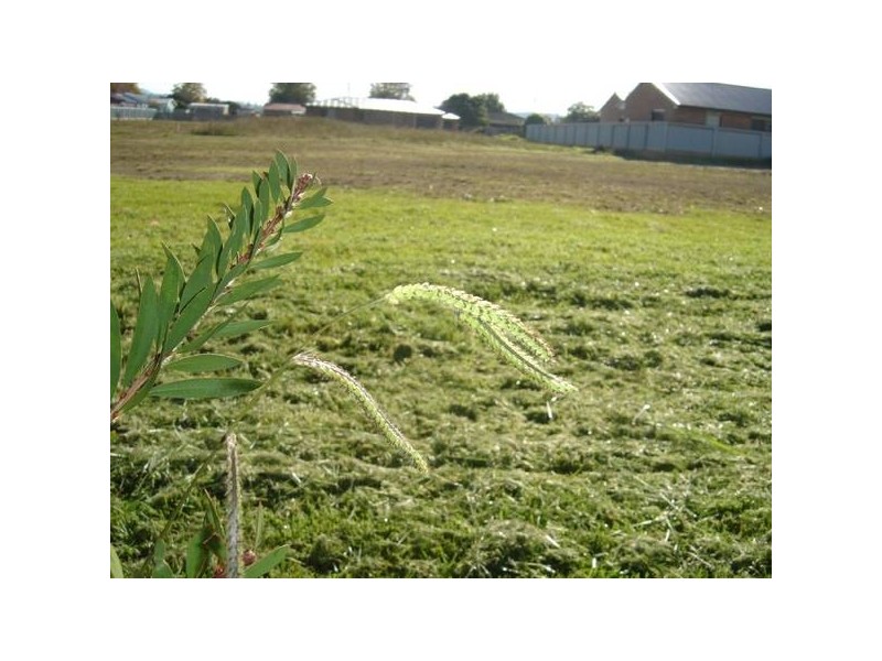 3 Doepel Place, St Helens TAS 7216