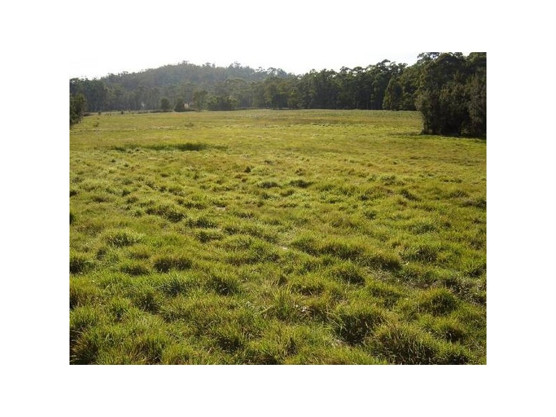 Lot 1 Canhams Road, St Helens TAS 7216