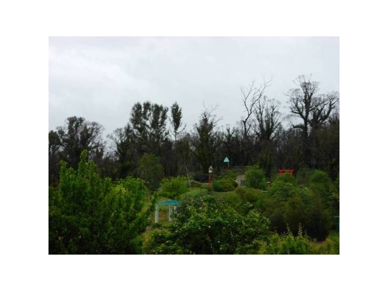 29 Upper Scamander Road, Scamander TAS 7215