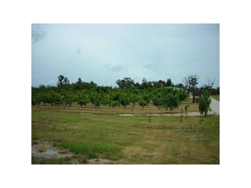 29 Upper Scamander Road, Scamander TAS 7215